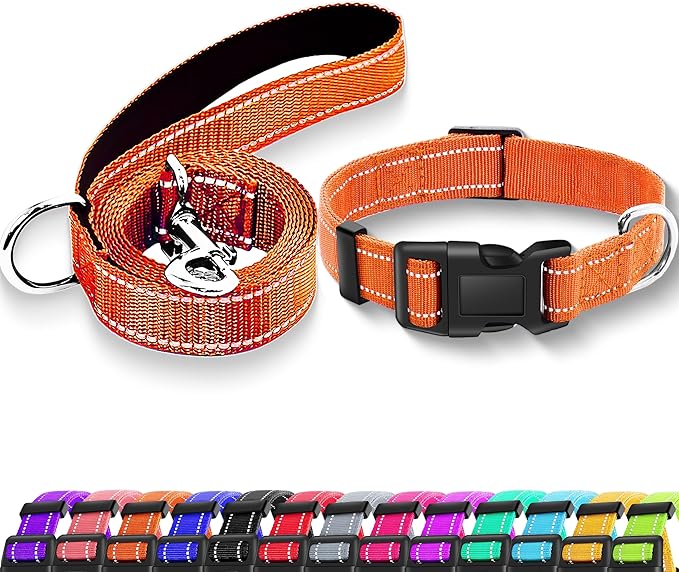 Reflective Dog Collar with Safety Locking Buckle, Adjustable Soft Breathable Nylon Collars for Small, Medium and Large Dogs(Collar+Leash XL Orange)