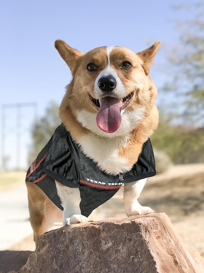 Pets First NCAA College Texas Tech Red Raiders Mesh Jersey for DOGS & CATS, Small.Licensed Dog Jersey with your Favorite Football/Basketball College Team