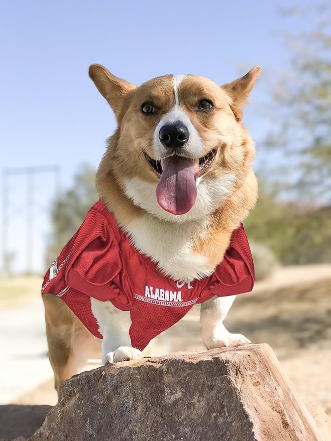 Pets First NCAA College Alabama Crimson Tide Mesh Jersey for DOGS & CATS, Large. Licensed Big Dog Jersey with your Favorite Football/Basketball College Team AL-4006-LG