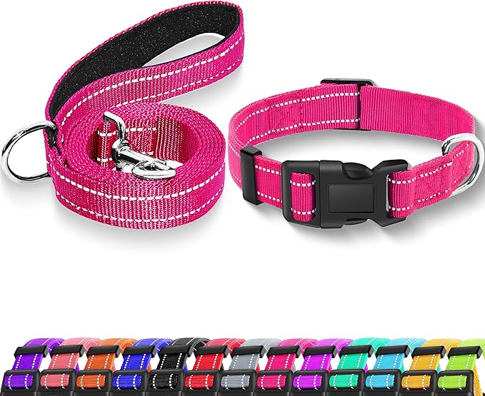Reflective Dog Collar with Safety Locking Buckle, Adjustable Soft Breathable Nylon Collars for Small, Medium and Large Dogs(Collar+Leash L Hotpink)