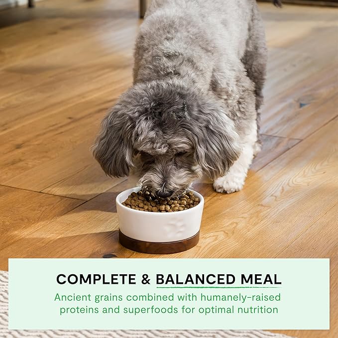 Open Farm, Ancient Grains Dry Dog Food For Small Breeds, Protein-Rich & Nutrient Dense, 90% Animal Protein With Non-GMO Fruits, Veggies and Superfoods, Chicken & Turkey Recipe For Small Dogs, 11lb Bag