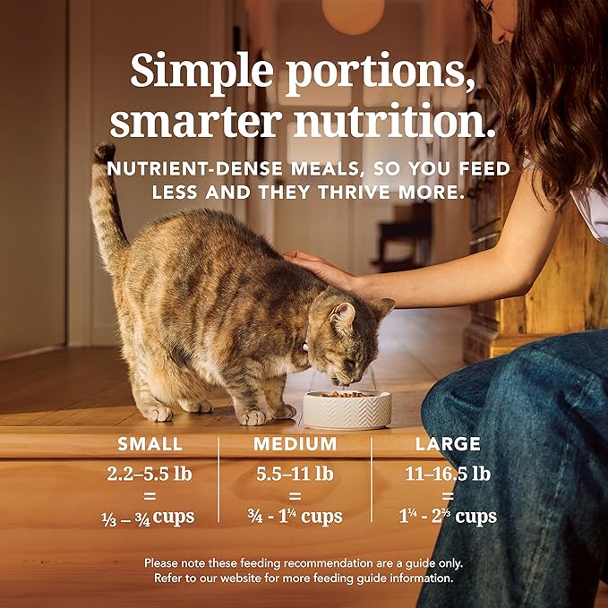 Feline Natural High Protein Dry Cat Food, Freeze-Dried Diet with 98% Meat, Organs & Seafood, No Peas, Grains, or Artificial Additives, Made in New Zealand Beef & Hoki, 3.5oz