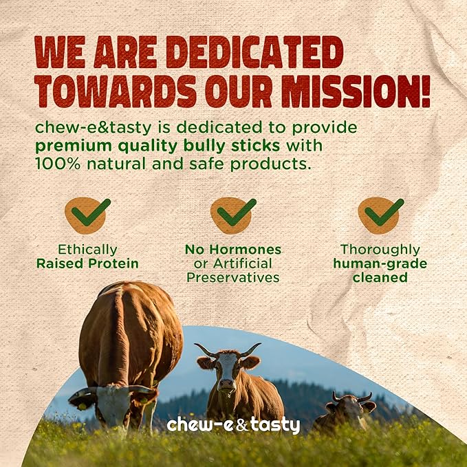chew-e&tasty 11-12" Bully Sticks for Dogs (1 LBS Pack) - Dog Treats Single Ingredient Long Lasting High Protein - Natural Odor Free Grass-Fed Dental Dog Chews for Large Dogs