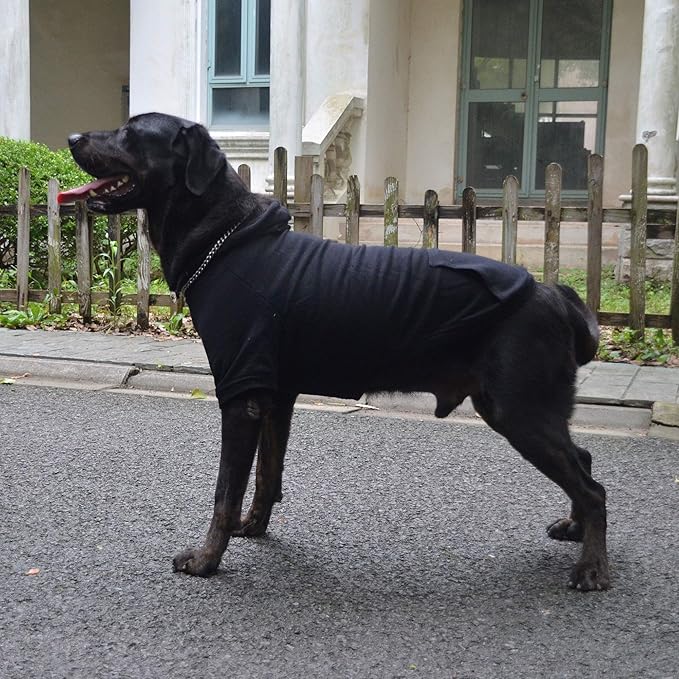 Lovelonglong Blank Basic Hoodie Sweatshirt for Dogs 100% Cotton Fits Small Medium Dachshund Large Dog Black M
