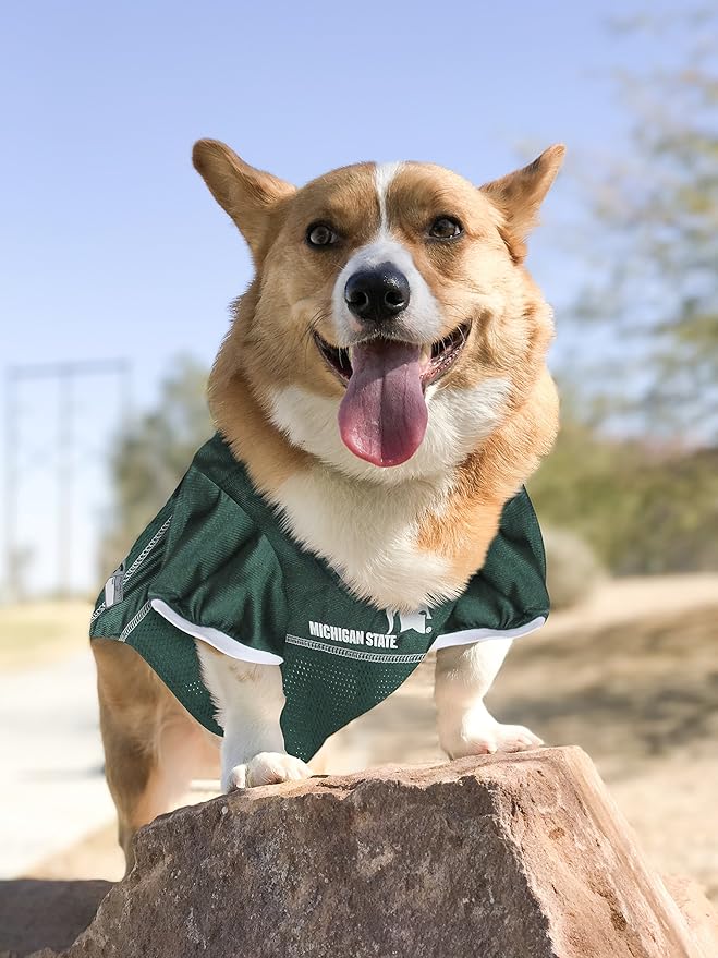Pets First NCAA College Michigan State Spartans Mesh Jersey for DOGS & CATS, XX-Large. Licensed Dog Jersey with your Favorite Football/Basketball College Team