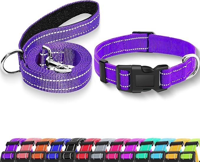 Reflective Dog Collar with Safety Locking Buckle, Adjustable Soft Breathable Nylon Collars for Small, Medium and Large Dogs(Collar+Leash XS Width 5/8" Purple)