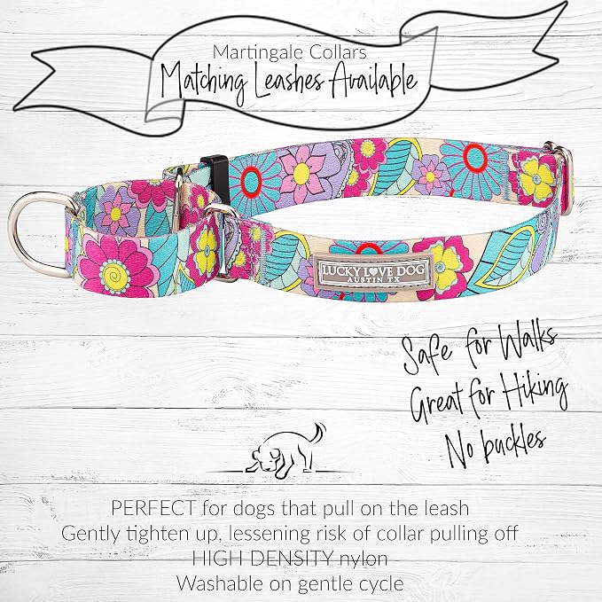 Lucky Love Dog Martingale Collar & Leash Set No Slip Cute – Caroline, Large