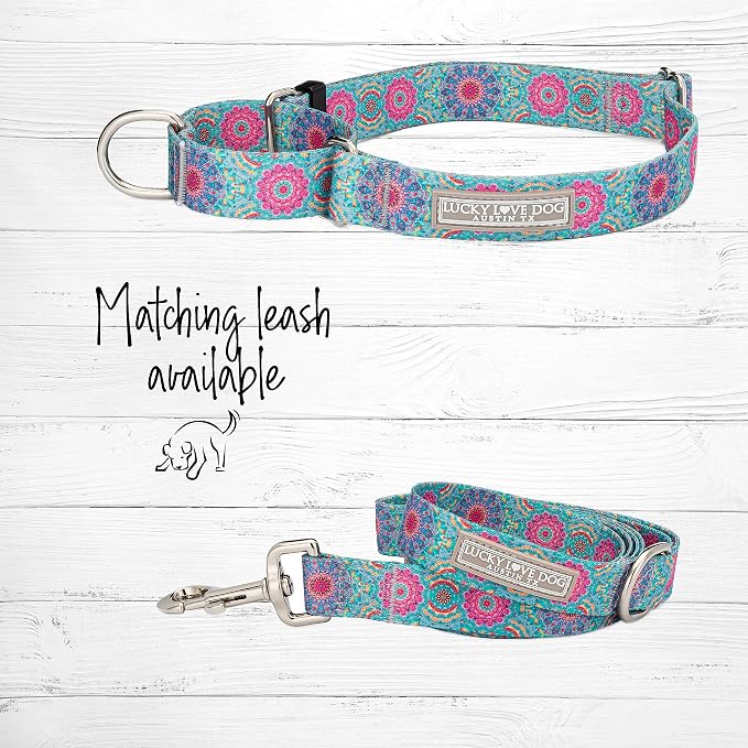 Lucky Love Dog Martingale Collar & Leash Set No Slip Cute – Clara, Medium