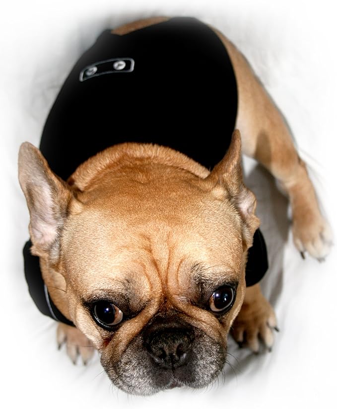 Frenchie Mini Couture Dog Tuxedo, (X-Small)