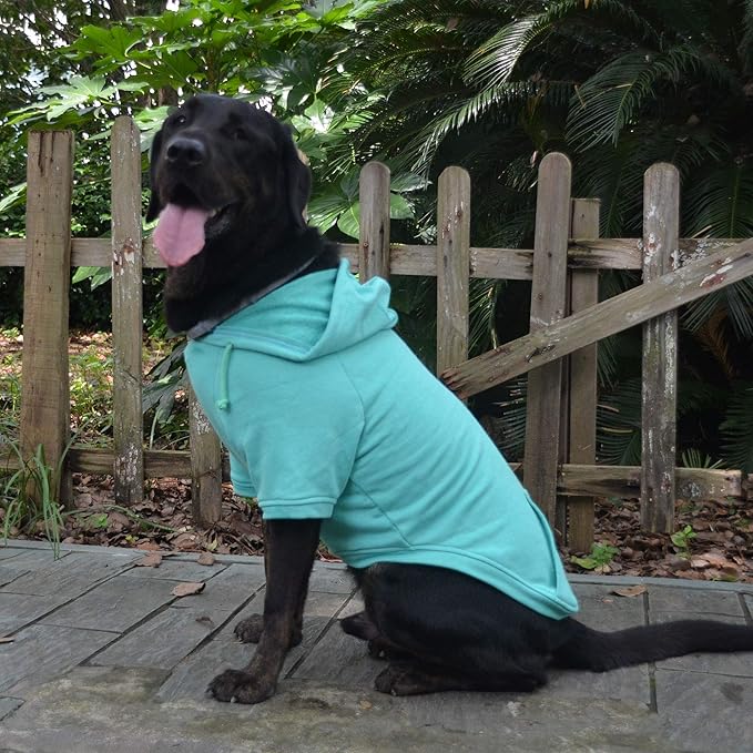 Lovelonglong Blank Basic Hoodie Sweatshirt for Dogs 100% Cotton Fits Small Medium Dachshund Large Dog Turquoise XS