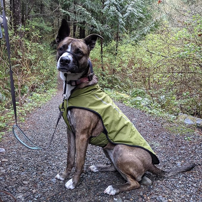 Mile High Life Dog Raincoat, Adjustable Waterproof Reflective Rain Jacket for Small Medium Large Dogs, Lightweight Breathable Pet Rain Coat with Leash Hole(Lime Yellow,M Chest 26-32")