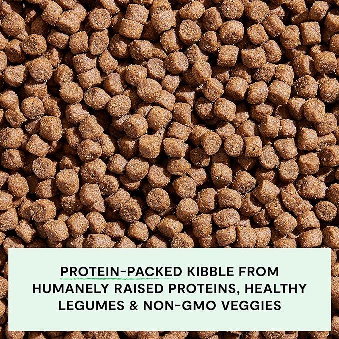 Open Farm, Grain-Free Dry Dog Food, Complete & Balanced Kibble, Sustainably & Ethically Sourced Ingredients, Non-GMO Veggies & Superfoods Support Overall Health, Pasture Raised Lamb Recipe, 4lb Bag