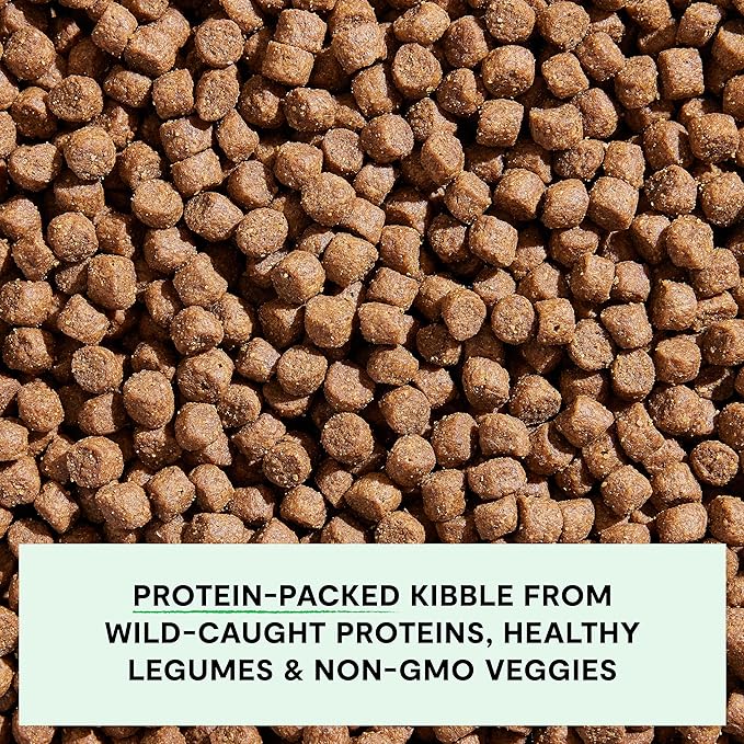 Open Farm, Grain-Free Dry Dog Food, Complete & Balanced Kibble, Sustainably & Ethically Sourced Ingredients, Non-GMO Veggies & Superfoods to Support Overall Health, Wild-Caught Salmon Recipe, 22lb Bag